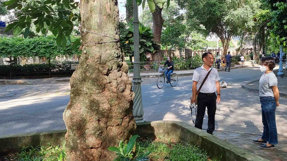 125 năm cao su cho vàng ở Việt Nam - Kỳ 2: Ở đất tổ cao su Thảo cầm viên